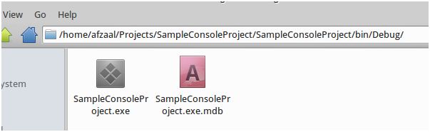 Debug executable found in the bin folder